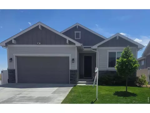 1853 Holloway Dr, Windsor, CO 80550