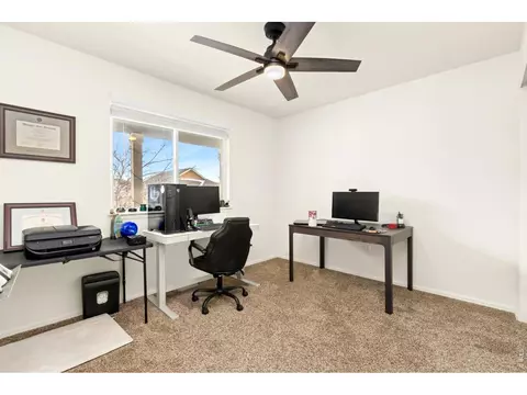 Other - 1484 First Light Dr, Windsor, CO 80550 photo 1 of 2