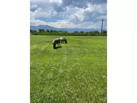 Other - 404 Wewoka Dr, Boulder, CO 80303 photo 5 of 10