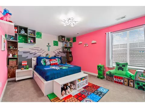 2995 E 160th Pl, Thornton, CO 80602 photo 20