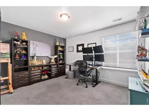 2995 E 160th Pl, Thornton, CO 80602 photo 23