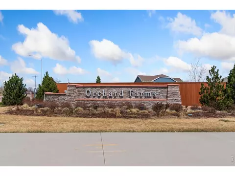2995 E 160th Pl, Thornton, CO 80602 photo 34