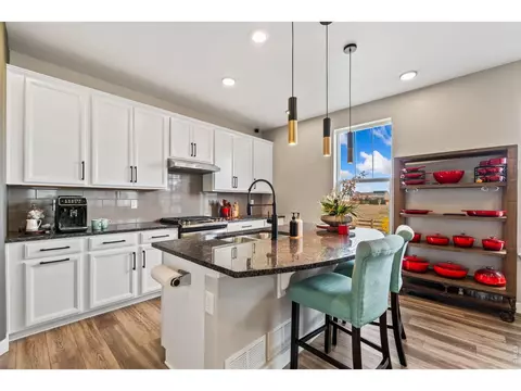 2995 E 160th Pl, Thornton, CO 80602 photo 7