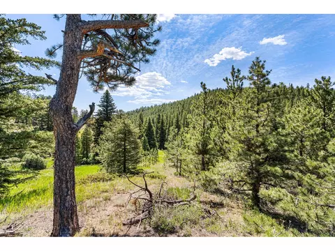 Other - 1213 Primos Rd, Boulder, CO 80302 photo 1 of 6