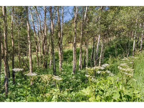 Other - 1213 Primos Rd, Boulder, CO 80302 photo 3 of 6