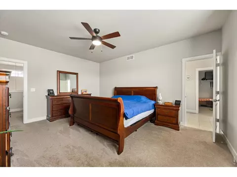 Bedroom - 479 Mt Belford Dr, Severance, CO 80550 photo 1 of 8