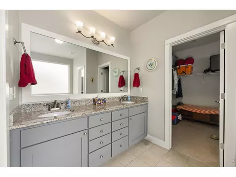 Other - 479 Mt Belford Dr, Severance, CO 80550 photo 3 of 8
