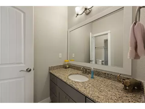 Bath - 479 Mt Belford Dr, Severance, CO 80550 photo 3 of 6