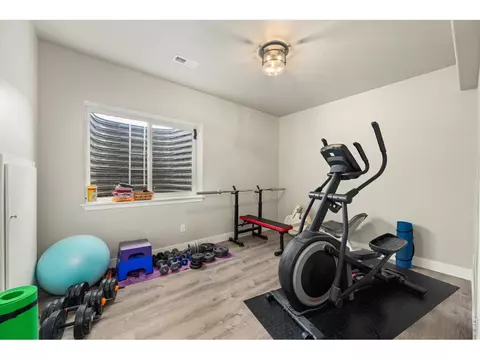 Other - 479 Mt Belford Dr, Severance, CO 80550 photo 7 of 8