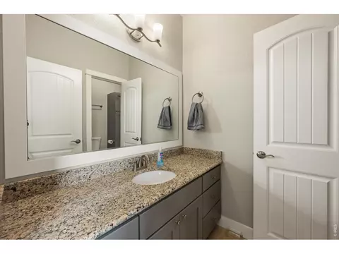Bath - 479 Mt Belford Dr, Severance, CO 80550 photo 5 of 6
