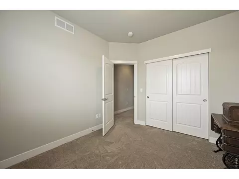Other - 479 Mt Belford Dr, Severance, CO 80550 photo 4 of 8
