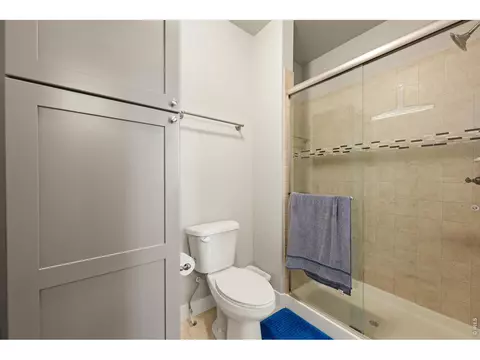 Bath - 479 Mt Belford Dr, Severance, CO 80550 photo 4 of 6