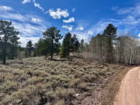 43 Chetco Ct, Red Feather Lakes, CO 80545