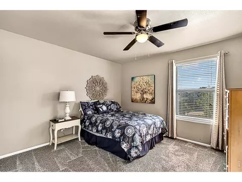 Bedroom - 2169 Longfin Dr, Windsor, CO 80550 photo 5 of 5