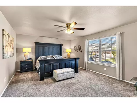 Bedroom - 2169 Longfin Dr, Windsor, CO 80550 photo 1 of 5