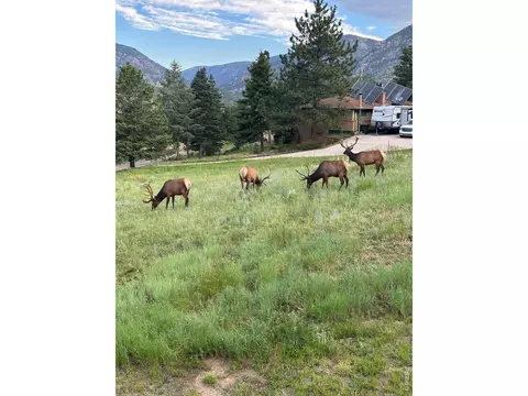 48 Button Rock Rd, Lyons, CO 80540 photo 8