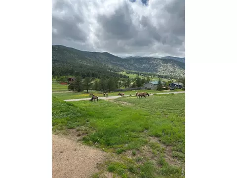 48 Button Rock Rd, Lyons, CO 80540 photo 7