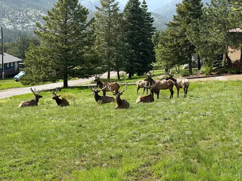 48 Button Rock Rd, Lyons, CO 80540 photo 9