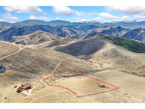 170 Little Bald Mountain Ct, Livermore, CO 80536