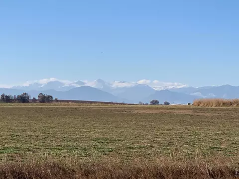 541 Jay Ave, Johnstown, CO 80534 photo 19