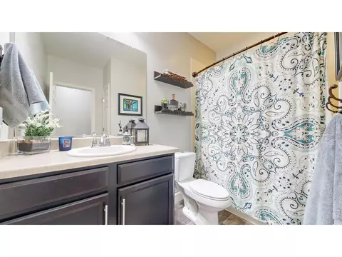 Bath - 6820 Rainier Rd, Timnath, CO 80547 photo 5 of 5