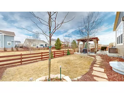 Exterior - 6820 Rainier Rd, Timnath, CO 80547 photo 6 of 12