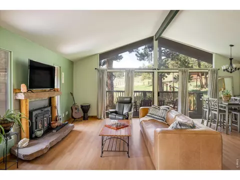Living - 201 Wild Tiger Rd, Boulder, CO 80302 photo 3 of 4