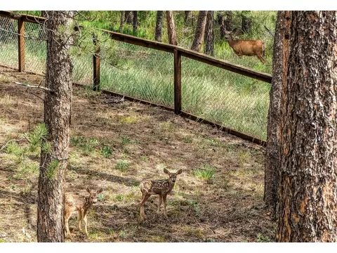 Other - 166 Cherokee Rd, Lyons, CO 80540 photo 6 of 8