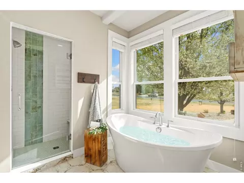 Bath - 37121 Soaring Eagle Cir, Severance, CO 80550 photo 3 of 5