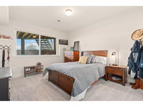Bedroom - 37121 Soaring Eagle Cir, Severance, CO 80550 photo 6 of 6