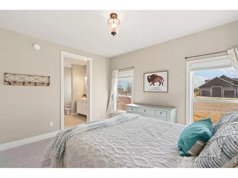 Bedroom - 37121 Soaring Eagle Cir, Severance, CO 80550 photo 4 of 6