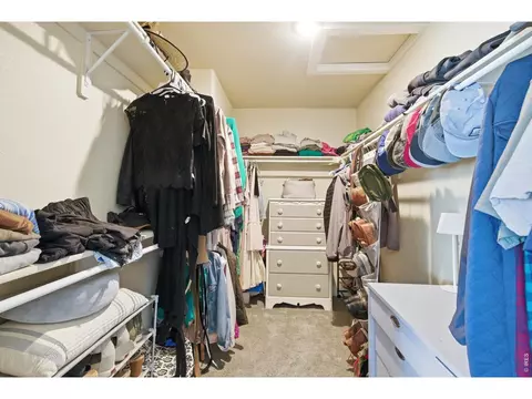 Other - 1027 Canal Dr, Windsor, CO 80550 photo 1 of 3