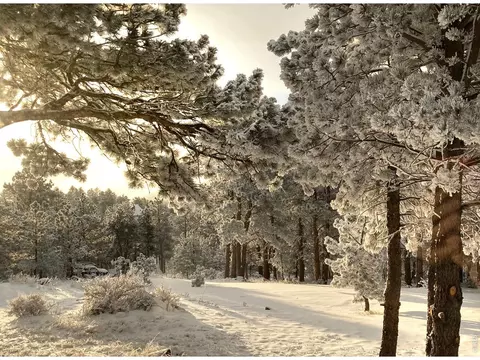 Other - 1164 Peakview Cir, Boulder, CO 80302 photo 14 of 16