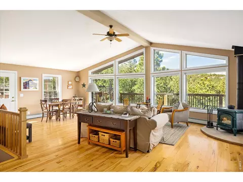 Living - 149 Rockledge Cir, Lyons, CO 80540 photo 4 of 4