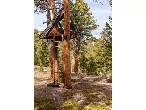 Other - 149 Rockledge Cir, Lyons, CO 80540 photo 11 of 12