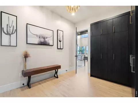 Other - 1501 Flowering Tree Ct, Windsor, CO 80550 photo 2 of 14