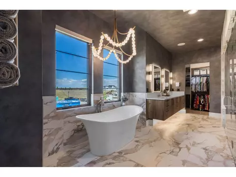 Bath - 1501 Flowering Tree Ct, Windsor, CO 80550 photo 3 of 6