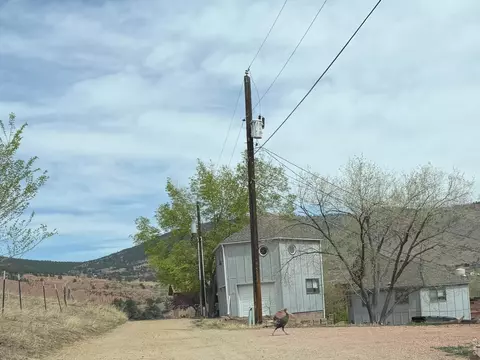 Exterior - 215 Ewald Ave, Lyons, CO 80540 photo 4 of 4