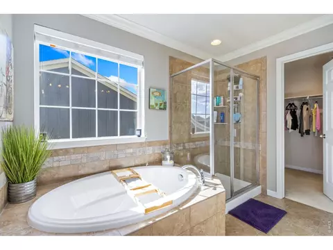 6772 Rainier Rd, Timnath, CO 80547 photo 21
