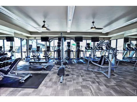 6772 Rainier Rd, Timnath, CO 80547 photo 43