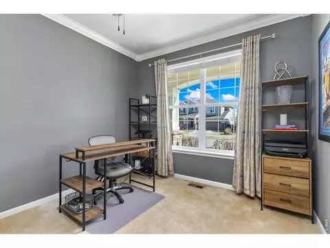 6772 Rainier Rd, Timnath, CO 80547 photo 12