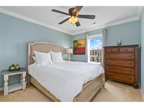 6772 Rainier Rd, Timnath, CO 80547 photo 23