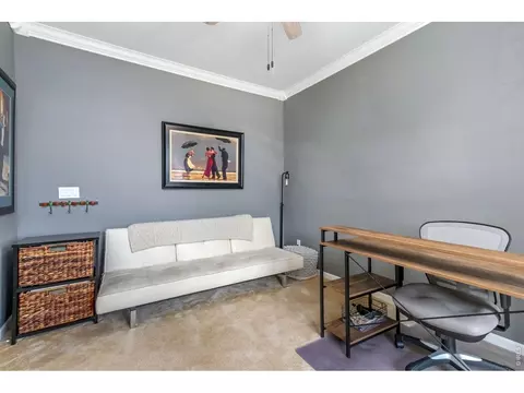 6772 Rainier Rd, Timnath, CO 80547 photo 13