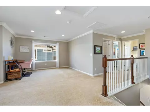 6772 Rainier Rd, Timnath, CO 80547 photo 17