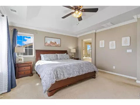 6772 Rainier Rd, Timnath, CO 80547 photo 19