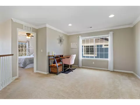 6772 Rainier Rd, Timnath, CO 80547 photo 16