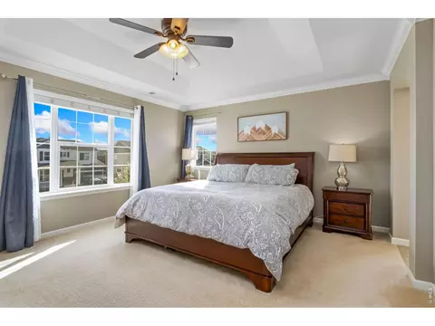 6772 Rainier Rd, Timnath, CO 80547 photo 18