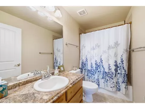 Bath - 551 Wind River Dr, Windsor, CO 80550 photo 4 of 4