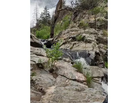 439 Redtail Ridge Way, Bellvue, CO 80512
