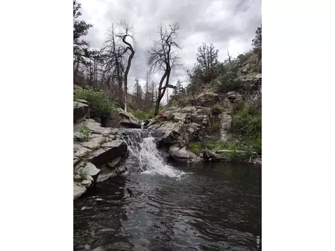 439 Redtail Ridge Way, Bellvue, CO 80512